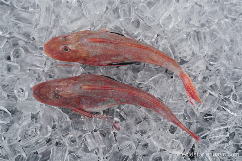 Caudas de fishfish congeladas com pele