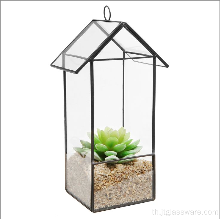 ทำบ้าน Air Plant Glass Terrarium เรขาคณิต