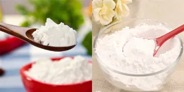 buy Dimethyl Tryptamine powder with low price