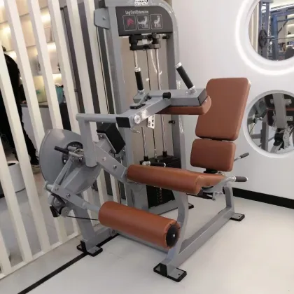 Thigh Extension Trainer Seated Leg Extension
