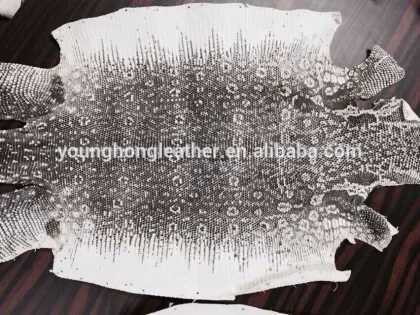 RAW LIZARD SKIN LEATHER