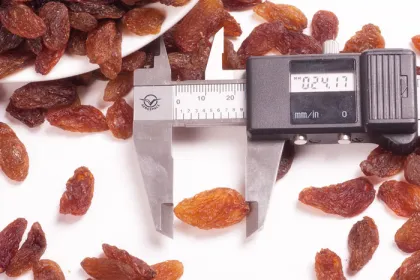 best quality all kinds of dried raisins