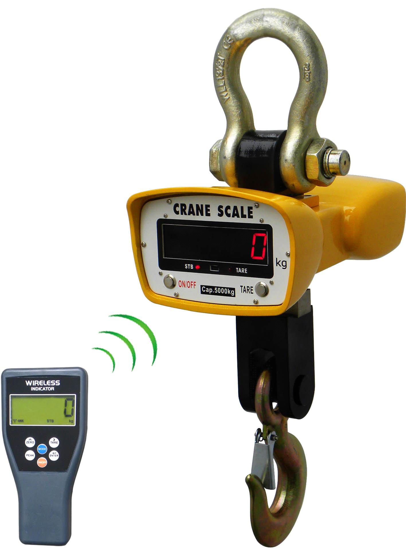 China crane scale