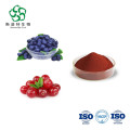Cranberry -Extrakt Proanthocyanidine Cranberry Fruchtpulver