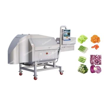 V Belt Vegetable Cutting Machine for Large Capacity