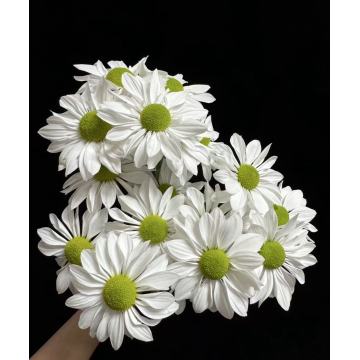 স্প্রে সাদা মাছ chrysanthemum