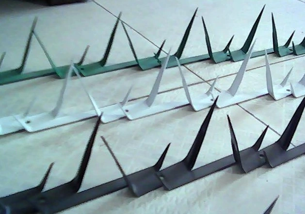 Steel Wire PVC Coated Middle Wall Spike