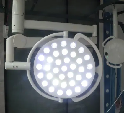 Animal Shadowless Cold Light Medical Luxury Operation Room