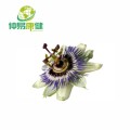 Passion Flower Extract For Anxiety