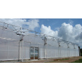 Serrated Multi-Span Plastic Film Greenhouse for Vegetables