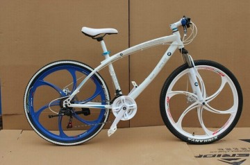 Hot Sales-Fashionable Mountain Bike, Mountain Bicycle, MTB Cycle (AFT-MB-028)
