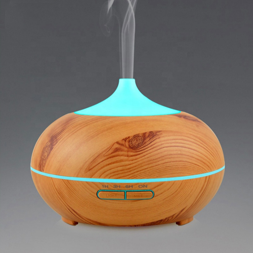 Home penguin Aroma diffuser humidifier