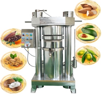 Avocado, Rape Seed, and Olive Oil Extraction Machines for Sale in South Africa