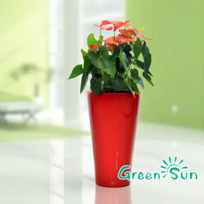 commercial hydroponics pot