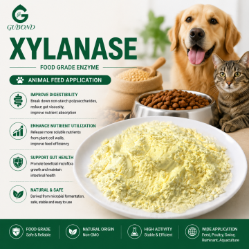 Persiapan Enzim Xilanase untuk Makanan, Pakan dan Aplikasi Industri