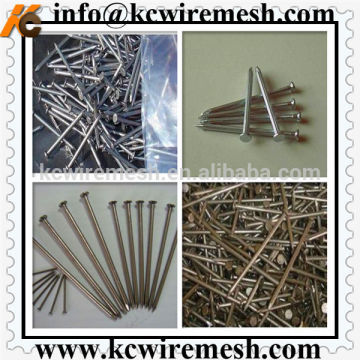 Polished Common Wire Nails