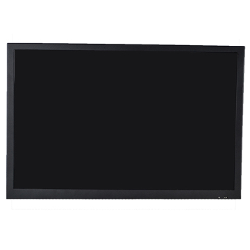 19 inch Widescreen SDI Monitor