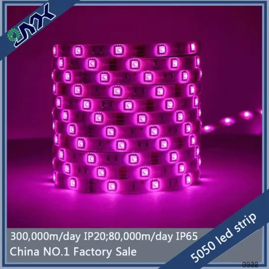ultraviolet led strip 5050 smd 5m 300led/roll bicolor led strip 12v 14.4w/m ip20 double pcb led plant grow light strip