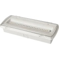 Ceiling Mounted Bulkhead Emergency Light