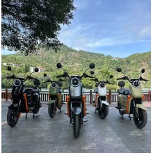 Adult Motor Scooter with customizable colors