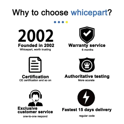 Electrolux Filter Packaging: 13x10cm Individual Plastic Bag