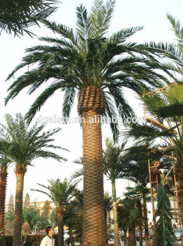 best price artificial palm tree,landscaping decoration indoor or outdoor for sale