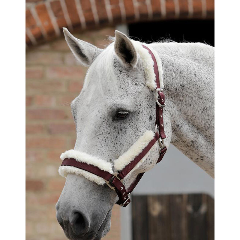 Halteres de caballos al por mayor Halter personalizado para caballos