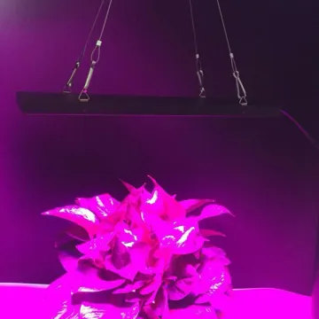 45W Grow Light bulb for regular lamp