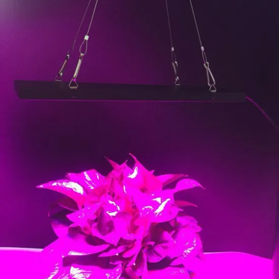 45W Grow Light bulb for regular lamp