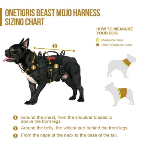 Anjing anjing kecil menengah harness