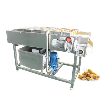 Wurzelgemüse und Obstwaschen, Reinigung und Schälenmaschine
