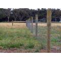 PVC Coated Field Fence Deer Farm Fence