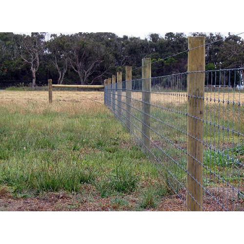 Vedação de campo revestido de PVC Vedação de fazenda de veados