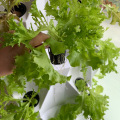 система полива садовой башни для озеленения теплицы