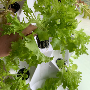 aeroponic tower gardening watering system for greenhouse