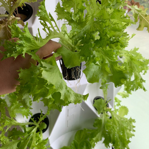 sistema de riego de jardinería torre aeropónico para invernadero