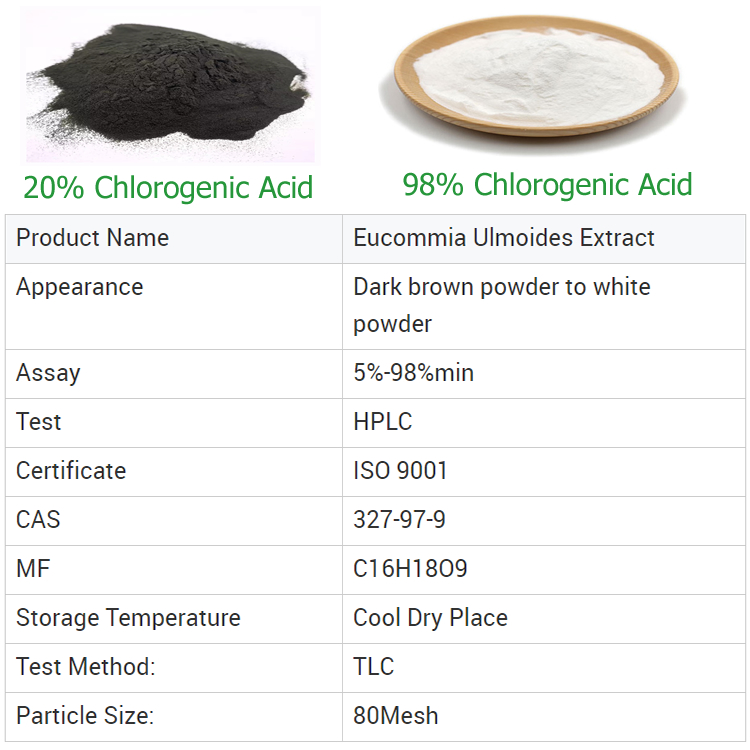 Eucommia Ulmoides Extract