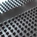 Drainage Panels HDPE Composite Dimple Geomembrane Drainage Board Factory