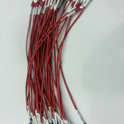 EV Vehicle Charging Pile Exchange Cabinet Wire Harness