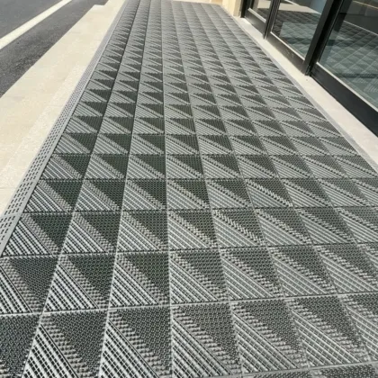 Removal Dust Doormat Entrance Door Mat for Hotel