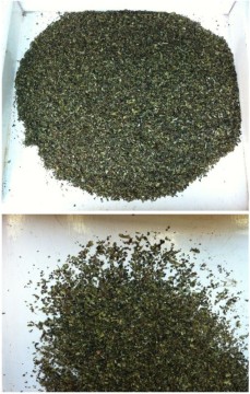 Tea Bag Good Material 100% Natural, Oolong Tea, Beauty Tea Fanning 8884