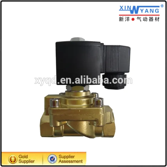 2W type two way DC24V/AC110V water solenoid valve 24v/electromagnetic valve