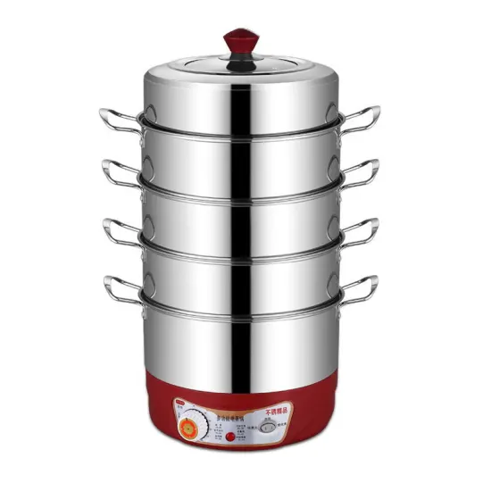 The Best Stainless Steel Electric Steamer