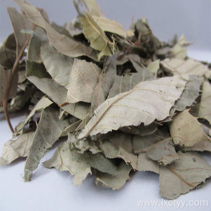 Epimedium tea is good for health