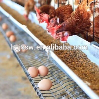 Layer Poultry Cages for Chicken/Laying chicken cage