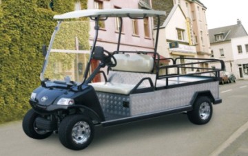 Electric Utility Car/Cart/Buggy, Sightseeing/Utility Bus (DEL3042GFB, 2-Seater)