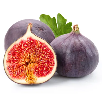 Premium Quality 100% Barbary Fig Seed Oil