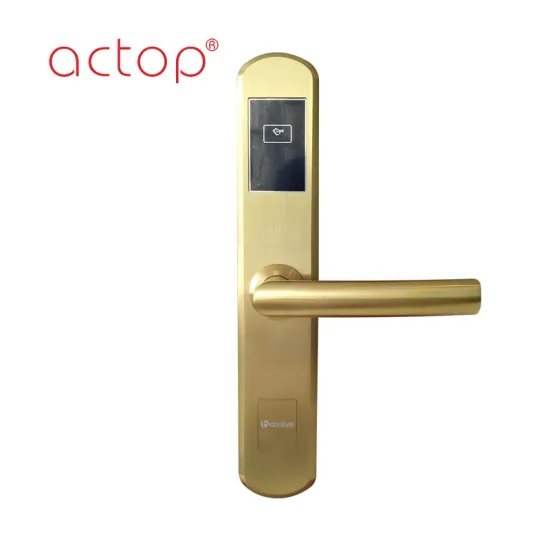 Hotel door lock with handle