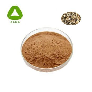 Moringa extract