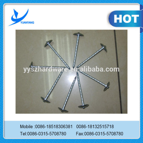 Umbrella Head Roofing Nails